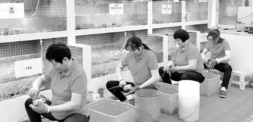 杭州捆蟹大妈生意忙一天捆3000只每月能拿1万2