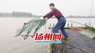 捕捞江蟹（资料图片）