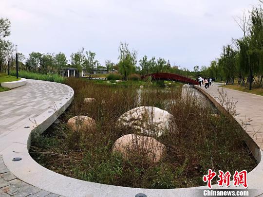 上海中心城区最大开放式绿地建设迎新进展