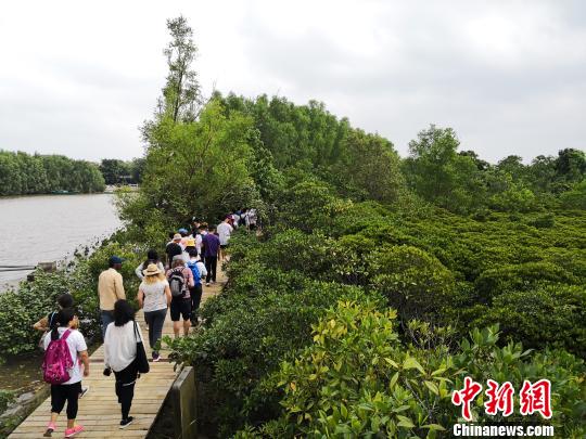 荣获&ldquo;国际湿地城市&rdquo;海口掀起新一轮&ldquo;湿地&rdquo;热
