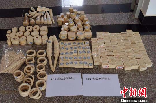 西双版纳森林公安破获特大跨国非法收购出售象牙制品案