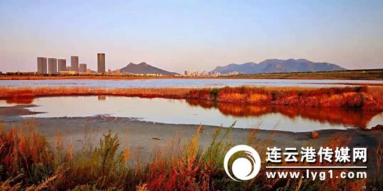 微信图片_20181031113828