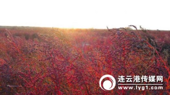 微信图片_20181031113740