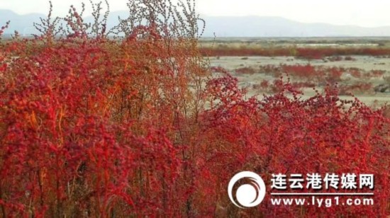 微信图片_20181031113744