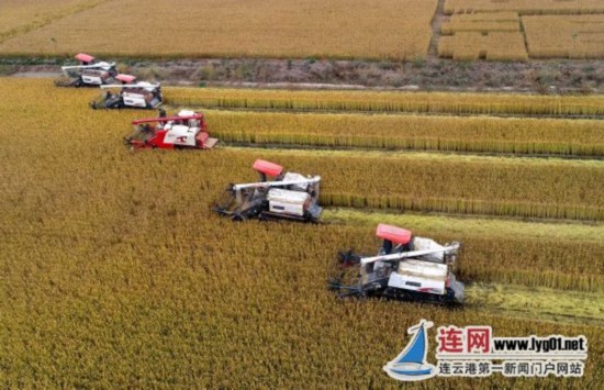 QQ图片20181103163109