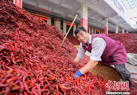探访中国辣椒城：从海外收购辣椒再销往世界各地