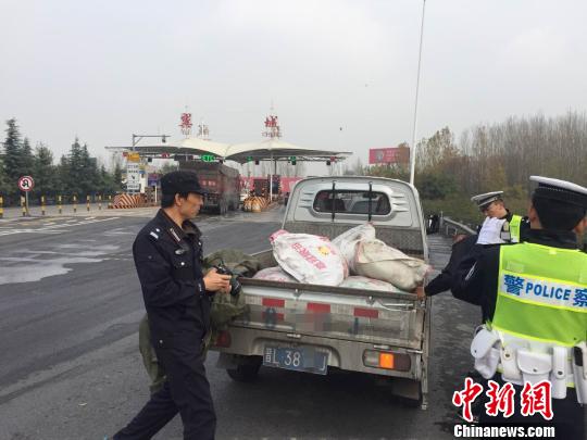 山西交警截获180只非法运输的野兔森林公安介入调查