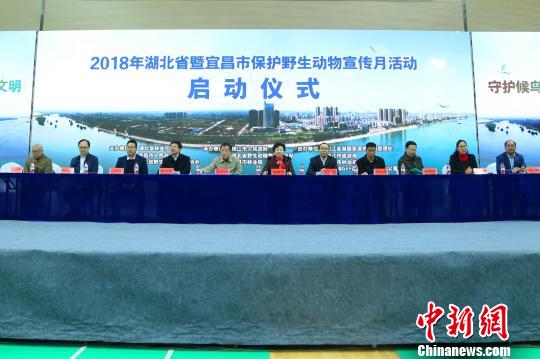 湖北已划建282个保护地保护野生动物