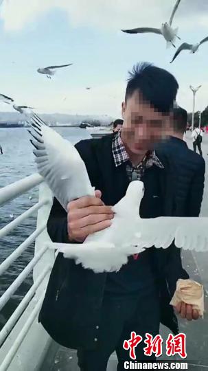 一男子为&ldquo;涨粉&rdquo;发布抓捕红嘴鸥视频被罚款3000元