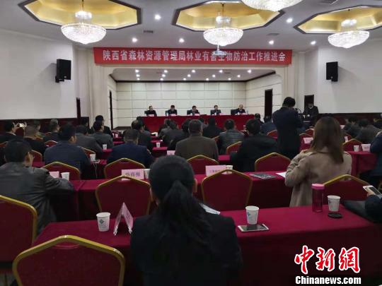 陕西森管局推进林业有害生物防治助力秦岭林区森林健康