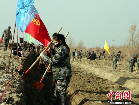 初冬新疆兵团第一师塔克拉玛干沙漠边缘开展大规模植树造林