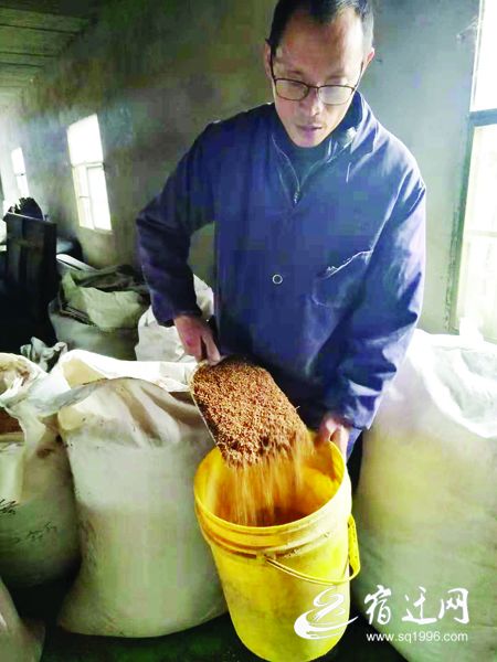 宿迁这家养殖场养猪有妙招 用中草药喂出优质猪