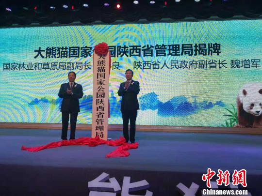 陕西发布秦岭大熊猫保护研究成果报告:种群数量显著增长