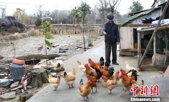 大别山北麓村庄精准扶贫人均收入破万村民笑开颜