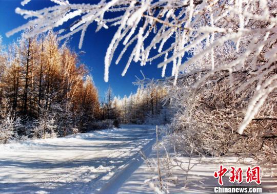 内蒙古牙克石获评“中国冰雪之都”