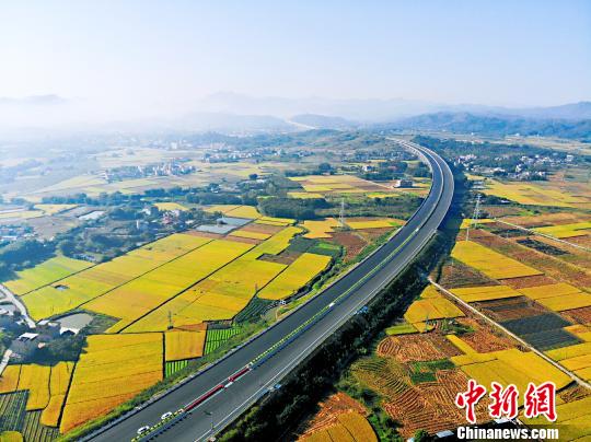 武深高速广东段月底全线贯通深圳北上湖南可省2小时