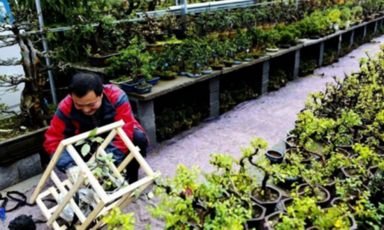 L95}I~_%DC`PH8{S}7H2%OD