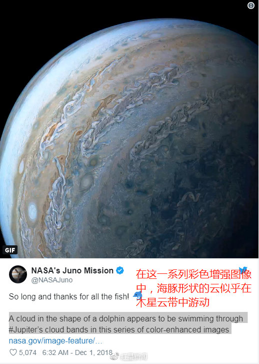 通过后期制作形成了这幅海豚跳动的照片