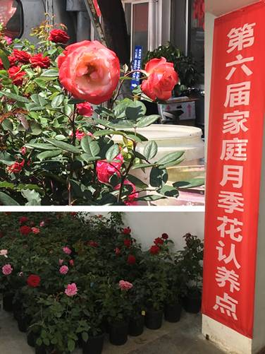 2018-05-11 101958.jpg