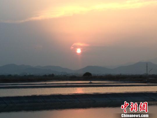 梅山村里，千亩鱼塘，一望无垠。　敏忠 摄