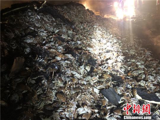 图为事故现场 宁波高速交警供图