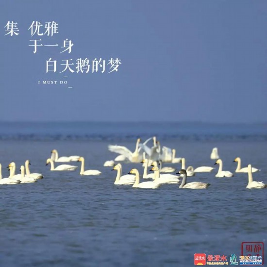 微信图片_20181226084930.jpg