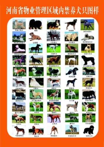 河南省物业管理区域内禁养犬只图样。　河南省公安厅 摄