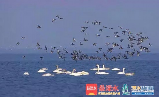 微信图片_20181226084858.jpg