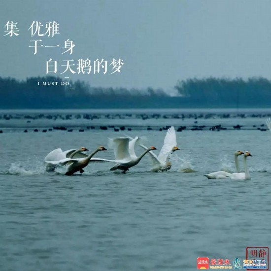 微信图片_20181226084924.jpg