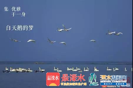 微信图片_20181226084918.jpg