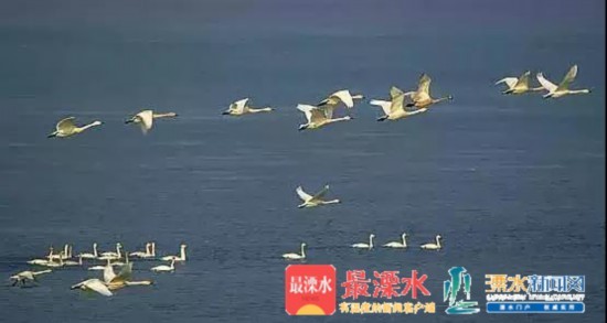 微信图片_20181226084854.jpg