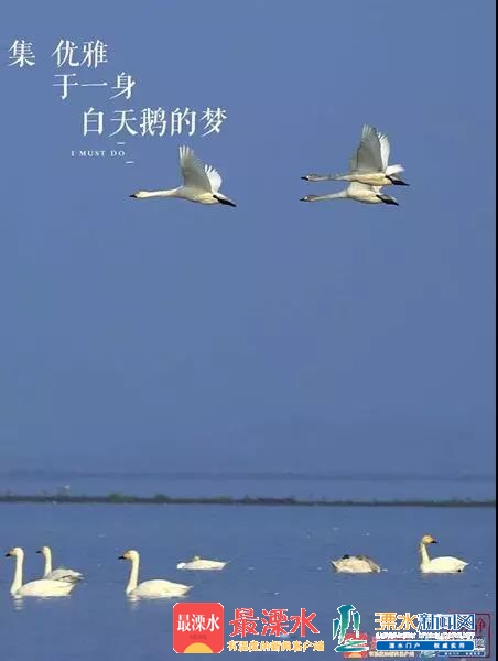 微信图片_20181226084911.jpg