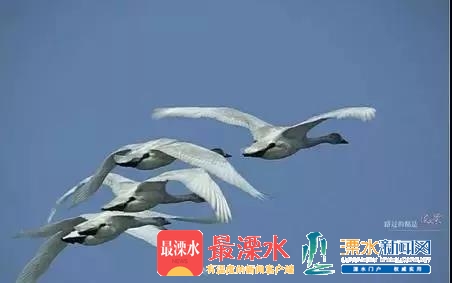 微信图片_20181226084908.jpg