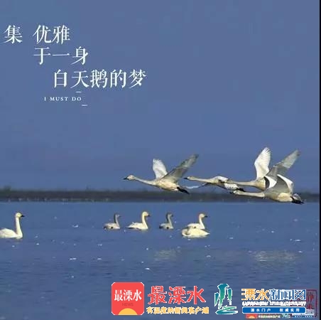 微信图片_20181226084915.jpg