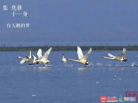 微信图片_20181226084927.jpg