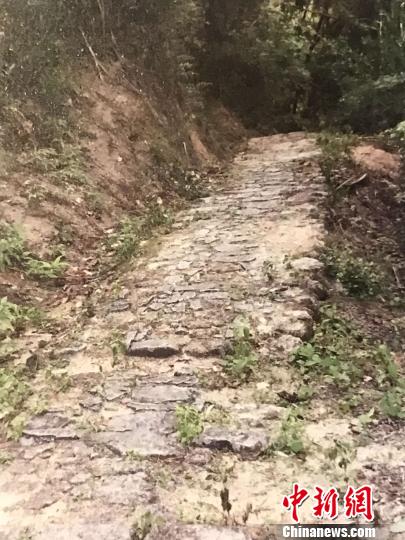 紫金黄花古道 资料图 摄