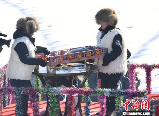 头鱼拍卖价格高达999999元。　张瑶 摄