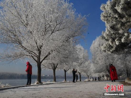 资料图：吉林雾凇美景。苍雁 摄