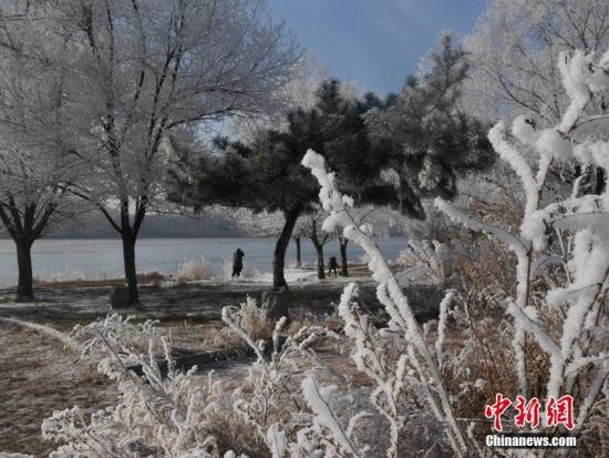 雾凇来临，松花江畔玉树琼枝。苍雁 摄