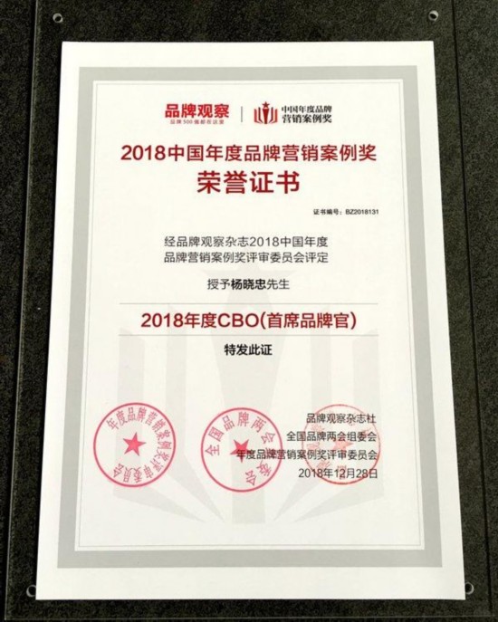 天合光能首席品牌官杨晓忠获评2018年度CBO(首席品牌官)称号