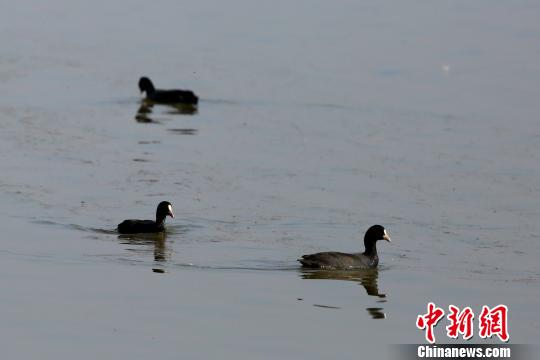 湖北宜昌统筹系统推进水环境治理呵护长江水资源