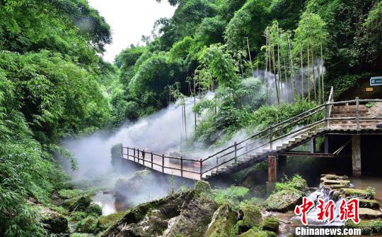 玻璃栈道下新增的美丽景点。　吴平华 摄