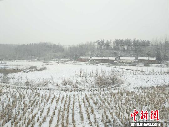 襄阳市谷城县一乡村的雪景 马闯 摄