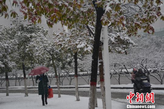 受大雪影响河南信阳境内高速全线封闭
