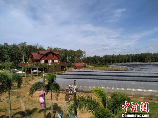 海南共享农庄打&ldquo;民族风情牌&rdquo;大力发展休闲农业