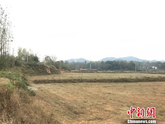 河南省2019年第一批复垦券交易3.8亿元