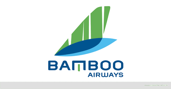 越南初创航空公司bamboo airways 16日成功首航