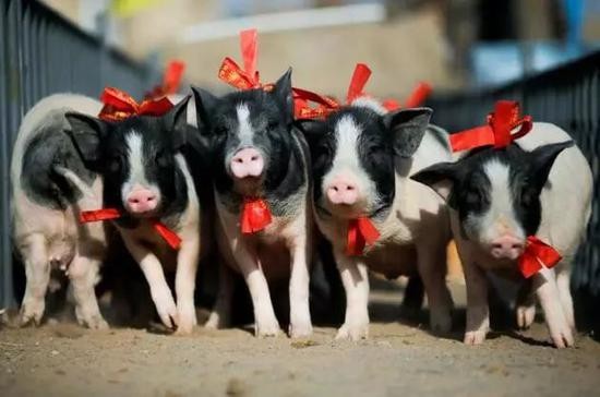 资料图(图片来源:视觉中国)