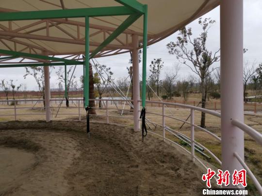 江苏一动物园现“旋转活马”园方:创意来自马术训练