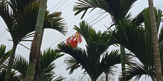 飞行伞具被电线勾住(图片来源:台湾《自由时报》)